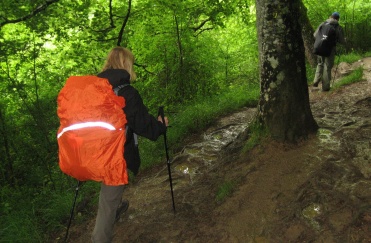 Camino Mai 2008 - Ab in den Wald - Ausrutschen ist unpraktisch. Denkt an die Dame mit Ihren Schlappen ...