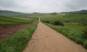 Camino Mai 2008
