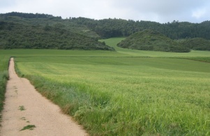 Camino Mai 2008